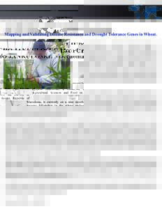 LJUPCHO JANKULOSKI: Macedonia Mapping and Validating Disease Resistance and Drought Tolerance Genes in Wheat. Ljupcho Jankuloski, a researcher from the Faculty of Agricultural Sciences and Food in Skopje, Republic of Mac