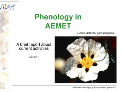 Phenology in AEMET Cistus ladanifer (jara pringosa) A brief report about current activities