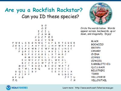 Are you a Rockfish Rockstar? Can you ID these species? Circle the words below. Words appear across, backwards, up or down, and diagonally. Enjoy!
