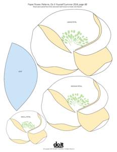 DIY Paper Flower Patterns PDF