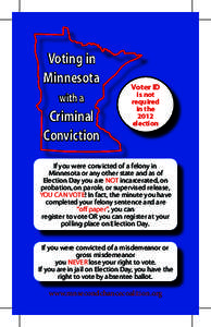 Voting in Minnesota with a Criminal Conviction