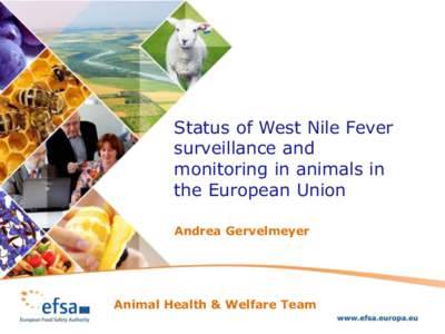 Status of West Nile Fever surveillance and monitoring in animals in the European Union Andrea Gervelmeyer