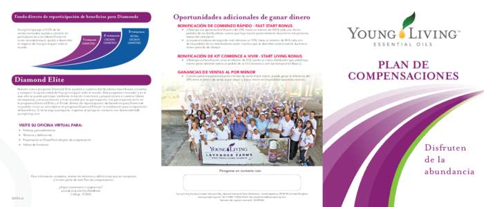 Fondo directo de reparticipación de beneficios para Diamonds Young Living paga un 0,5% de las ventas mensuales sujetas a comisión en participaciones a los líderes Diamond como recompensa por ayudar a desarrollar el ne