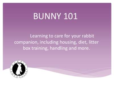 BUNNY 101 Learning to care for your rabbit companion, including housing, diet, litter box training, handling and more.  Common Myths