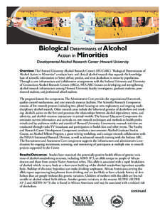 Biological Determinants of Alcohol  Action in Minorities Developmental Alcohol Research Center: Howard University