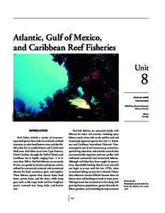 UNIT 8 AT L A N T I C , G U L F O F M E X I C O, A N D C A R I B B E A N F I S H E R I E S atlantic, gulf of mexico, and Caribbean reef fisheries Unit