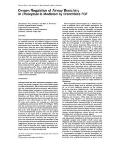 Cell, Vol. 99, 211–220, October 15, 1999, Copyright 1999 by Cell Press  Oxygen Regulation of Airway Branching in Drosophila Is Mediated by Branchless FGF Jill Jarecki,† Eric Johnson,† and Mark A. Krasnow* Howard