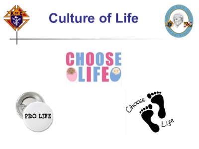 Culture of Life  Culture of Life Team   Director – Jerry Hicks