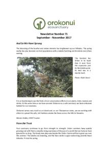 Newsletter Number 71 September - November 2017 And So We Have Sprung The blooming of the kowhai and native clematis has brightened up our hillsides. The spring reality has also boosted our bird populations with a takahe 