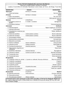 Astereae / Cryptantha / Eriogonum / Gutierrezia / Aliciella / Ipomopsis / Penstemon / Astragalus / Asterids / Polemoniaceae / Medicinal plants