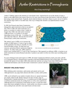 Antler Restrictions in Pennsylvania Are they working? Antlers! Nothing captures the attention of a deer hunter more. Antlered bucks star in the dreams of many a hunter on the night before deer season. However, for years,