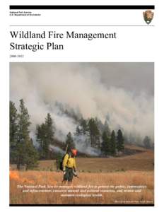 National Park Service U.S. Department of the Interior Wildland Fire Management Strategic Plan Strategic Plan