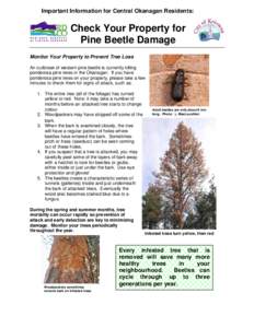 Important Information for Central Okanagan Residents:  Check Your Property for Pine Beetle Damage Monitor Your Property to Prevent Tree Loss An outbreak of western pine beetle is currently killing