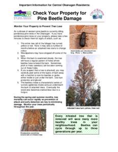 Protostome / Zoology / Mountain pine beetle / Bark beetle / Beetle / Bark / European spruce bark beetle / Asian long-horned beetle / Woodboring beetles / Curculionidae / Phyla