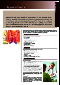 Proctology / Digestive system surgery / Rectum / Feces / General practice / Hemorrhoid / Constipation / Rubber band ligation / Rectal examination / Medicine / Gastroenterology / Health