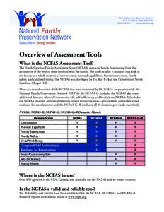 Priscilla Martens, Executive Director 3971 N[removed]E., Buhl, ID[removed]9047 • [removed] Overview of Assessment Tools What is the NCFAS Assessment Tool?