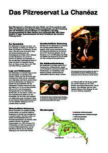 Das Pilzreservat La Chanéaz Das Pilzreservat La Chanéaz mit einer Fläche von 75 ha wurde im Jahr 1975 vom Staatsrat des Kantons Fribourg begründet, um die Forschung über die Waldpilze und ihre Ökolgie zu ermöglich