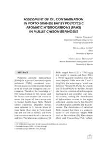 Chemistry / Polycyclic aromatic hydrocarbons / Aromatic hydrocarbon / Atlantic Ocean / Chelon / Fluoranthene / Mutagen / Mindelo / Calhau / Origin of life / Astrochemistry / Carcinogens