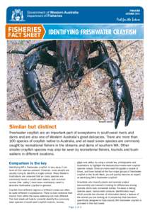 PUBLISHED OCTOBER 2011 FISHERIES Identifying Freshwater Crayfish FACT SHEET
