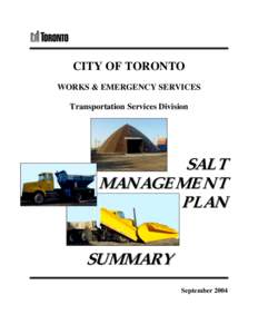 CITY OF TORONTO WORKS & EMERGENCY SERVICES Transportation Services Division SALT MANAGEMENT