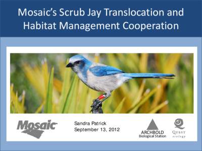 Mosaic’s Scrub Jay Translocation and Habitat Management Cooperation Sandra Patrick September 13, 2012