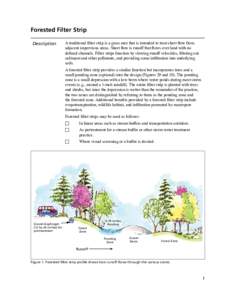 Forested Filter Strip Description A traditional filter strip is a grass area that is intended to treat sheet flow from adjacent impervious areas. Sheet flow is runoff that flows over land with no defined channels. Filter