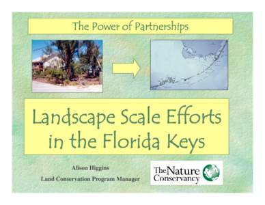 The Power of Partnerships  Landscape Scale Efforts in the Florida Keys Alison Higgins Land Conservation Program Manager