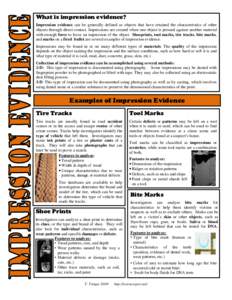 Anatomy / Biology / Footprint / Fingerprint / Tread / DNA profiling / Rim / Forensic footwear evidence / Forensic dentistry / Human anatomy / Biometrics / Tires