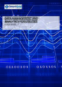 DATA MANAGEMENT AND ANALYTICS FOR UTILITIES In-depth Briefing DATA MANAGEMENT FOR UTILITIES