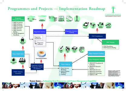 Programmes and Projects — Implementation Roadmap Where You Are
