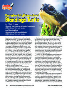 Pennsylvania’s Not-so-bland  Blanding’s Turtle by Chris Urban  Nongame and Endangered Species Coordinator,