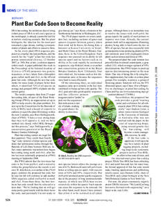 NEWS OF THE WEEK BOTANY 526  give that up yet,” says Kress, a botanist at the