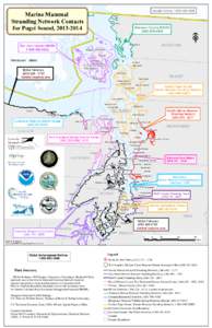 Canada Hotline, [removed]Marine Mammal Stranding Network Contacts for Puget Sound, [removed]