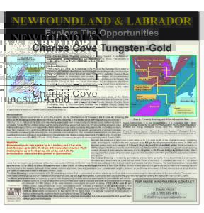NEWFOUNDLAND & LABRADOR Explore The Opportunities Charles Cove Tungsten-Gold The Charles Cove Property consists of 7 claims located in northeastern Newfoundland, on the western side of Gander Bay (NTS 2E/8). The property