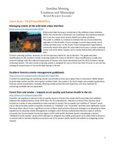 Stateline Meeting Louisiana and Mississippi Related Research Examples Issue Area – Fire/Prescribed Fire Managing smoke at the wild-land urban interface.