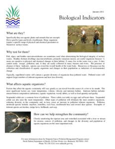 January[removed]Biological Indicators What are they? Specifically they are aquatic plants and animals that are susceptible to specific types and levels of pollutants. Many organisms require a specific range of physical and
