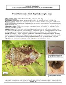 COUNTY OF LOS ANGELES AGRICULTURAL COMMISSIONER/WEIGHTS AND MEASURES DEPARTMENT Brown Marmorated Stink Bug (Halyomorpha halys) Other common names: Yellow-Brown Stink Bug, East Asian Stink Bug. Distribution: China, Japan,