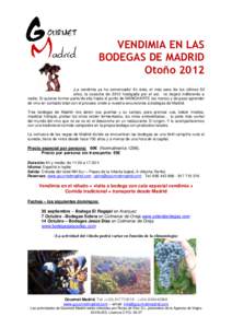 VENDIMIA EN LAS BODEGAS DE MADRID Otoño 2012 ¡La vendimia ya ha comenzado! En éste, el más seco de los últimos 50 años, la cosecha de 2012 hostigada por el sol, no dejará indiferente a nadie. Si quieres formar par