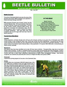 BEETLE BULLETIN MOUNTAIN PINE BEETLE ACTIVITIES IN ALBERTA May - July, 2007 Beetle Overview This edition of the Beetle Bulletin provides the status of the