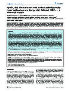 Hyccin, the Molecule Mutated in the Leukodystrophy Hypomyelination and Congenital Cataract (HCC), Is a Neuronal Protein Elisabetta Gazzerro1*., Simona Baldassari1., Caterina Giacomini2, Veronica Musante1, Floriana Frusci