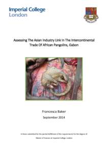 Assessing The Asian Industry Link In The Intercontinental Trade Of African Pangolins, Gabon Francesca Baker September 2014