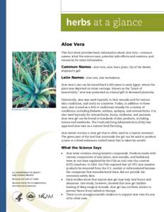 Aloe Vera This fact sheet provides basic information about aloe vera—common names, what the science says, potential side effects and cautions, and resources for more information.  Common Names—aloe vera, aloe, burn p