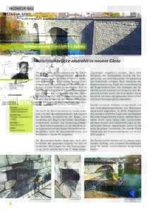 INGENIEUR-BAU  Spektrum 80, Ausgabe November 2015 Instandsetzung Rheinbrücke, Eglisau