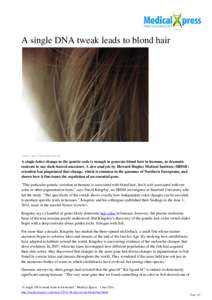 A single DNA tweak leads to blond hair  Credit: Laura Tiitto/public domain A single-letter change in the genetic code is enough to generate blond hair in humans, in dramatic contrast to our dark-haired ancestors. A new a