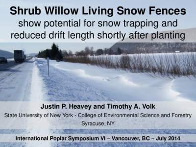 Shrub Willow Living Snow Fences show potential for snow trapping and reduced drift length shortly after planting Justin P. Heavey and Timothy A. Volk State University of New York - College of Environmental Science and Fo
