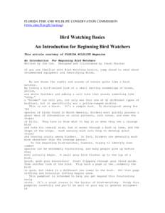 FLORIDA FISH AND WILDLIFE CONSERVATION COMMISSION (www.state.fl.us/gfc/viewing) Bird Watching Basics An Introduction for Beginning Bird Watchers This article courtesy of FLORIDA WILDLIFE Magazine