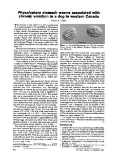 Physaloptera stomach worms associated with chronic vomition in a dog in western Canada James A. Clark The purpose of this report is to alert veterinarians in western Canada to the possibility of Physaloptera stomach worm