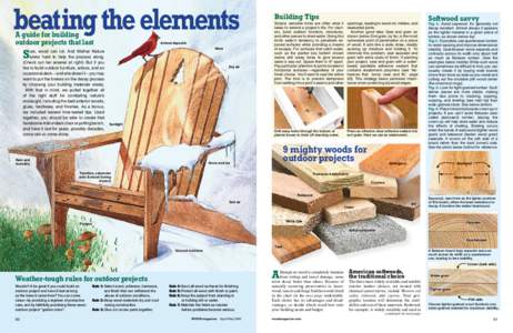 beat  ing the elements A guide for building outdoor projects that last Animal deposits Wind