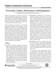 publication[removed]Perennials: Culture, Maintenance and Propagation Diane Relf, Extension Specialist, Environmental Horticulture, Virginia Tech Elizabeth Ball , Program Support Technician, Virginia Tech