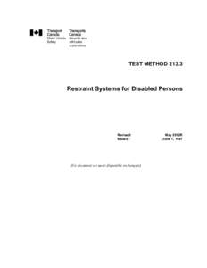 Restraint Systems for Disabled Persons